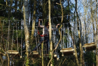  Curso de aventura en las copas de los árboles 